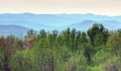 Photo #5 of GIBSONS HOLLOW LN, CHARLOTTESVILLE, VA 107.3 acres