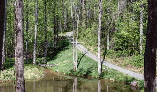 Photo #38 of GIBSONS HOLLOW LN, CHARLOTTESVILLE, VA 107.3 acres