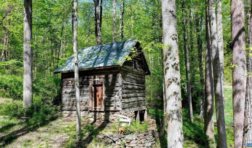 Photo #41 of GIBSONS HOLLOW LN, CHARLOTTESVILLE, VA 107.3 acres