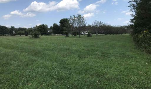 Photo #5 of 3 PHILLIPS LN, NELLYSFORD, VA 4.1 acres