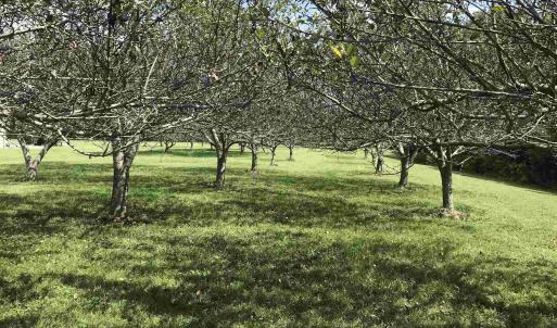 Photo #3 of 3 PHILLIPS LN, NELLYSFORD, VA 4.1 acres