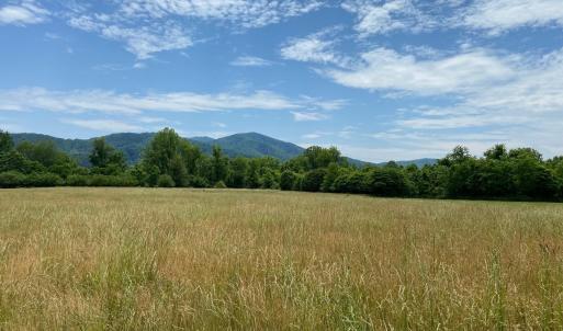 Photo #4 of 3 PHILLIPS LN, NELLYSFORD, VA 4.1 acres