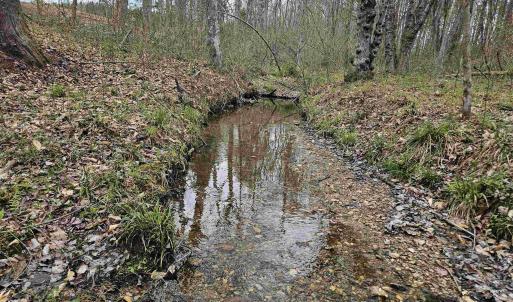 Photo #10 of 83.84 Ac JAMES RIVER RD, BUCKINGHAM, VA 83.8 acres