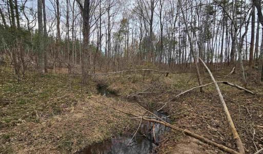 Photo #16 of 83.84 Ac JAMES RIVER RD, BUCKINGHAM, VA 83.8 acres