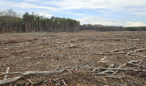 Photo #23 of 83.84 Ac JAMES RIVER RD, BUCKINGHAM, VA 83.8 acres