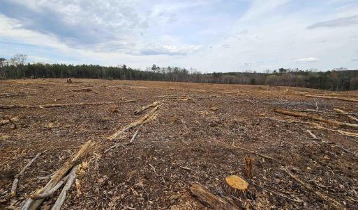 Photo #18 of 83.84 Ac JAMES RIVER RD, BUCKINGHAM, VA 83.8 acres