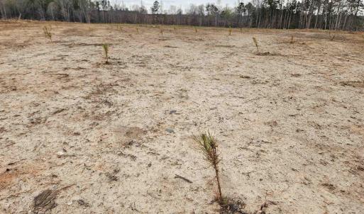 Photo #4 of 83.84 Ac JAMES RIVER RD, BUCKINGHAM, VA 83.8 acres