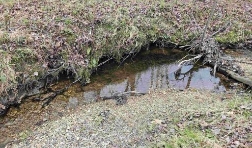 Photo #12 of 83.84 Ac JAMES RIVER RD, BUCKINGHAM, VA 83.8 acres