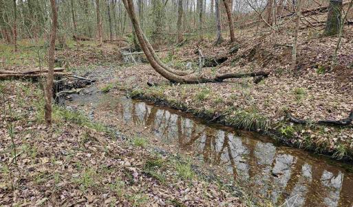 Photo #10 of 83.84 Ac JAMES RIVER RD, BUCKINGHAM, VA 83.8 acres