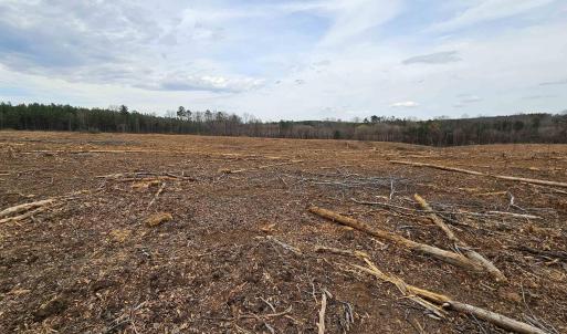 Photo #15 of 83.84 Ac JAMES RIVER RD, BUCKINGHAM, VA 83.8 acres
