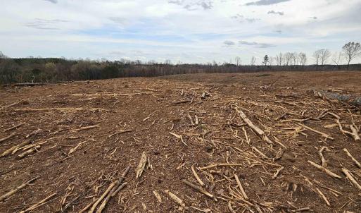 Photo #20 of 83.84 Ac JAMES RIVER RD, BUCKINGHAM, VA 83.8 acres