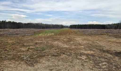 Photo #22 of 83.84 Ac JAMES RIVER RD, BUCKINGHAM, VA 83.8 acres