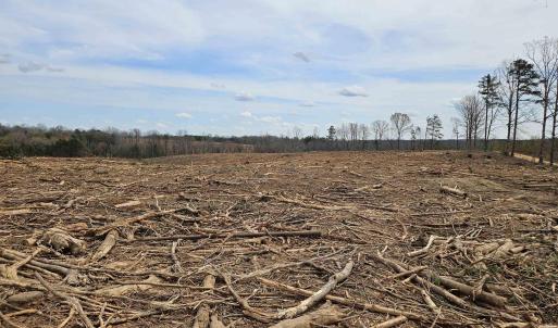Photo #16 of 83.84 Ac JAMES RIVER RD, BUCKINGHAM, VA 83.8 acres