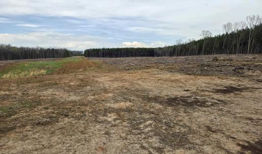 Photo #9 of 83.84 Ac JAMES RIVER RD, BUCKINGHAM, VA 83.8 acres