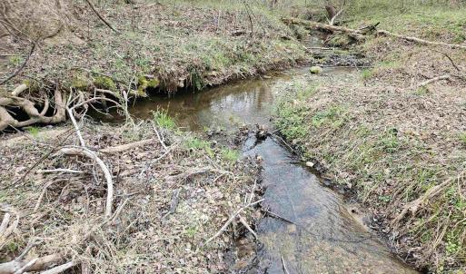 Photo #11 of 83.84 Ac JAMES RIVER RD, BUCKINGHAM, VA 83.8 acres