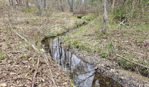 Photo #13 of 83.84 Ac JAMES RIVER RD, BUCKINGHAM, VA 83.8 acres