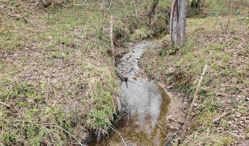 Photo #8 of 83.84 Ac JAMES RIVER RD, BUCKINGHAM, VA 83.8 acres