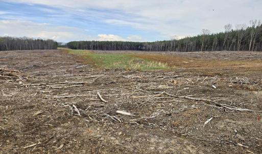 Photo #5 of 83.84 Ac JAMES RIVER RD, BUCKINGHAM, VA 83.8 acres