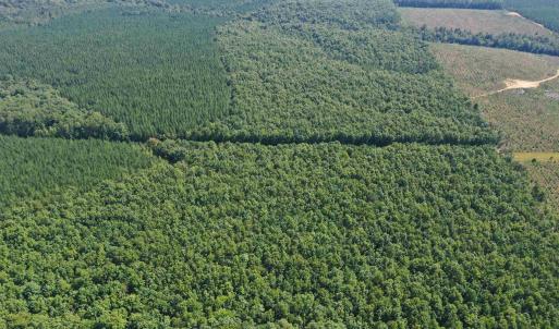 Photo #73 of 100 Ac JAMES ANDERSON HWY, GLADSTONE, VA 100.0 acres