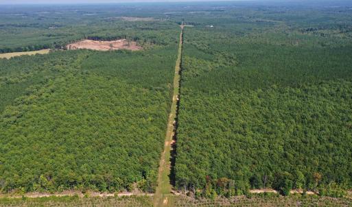 Photo #59 of 100 Ac JAMES ANDERSON HWY, GLADSTONE, VA 100.0 acres