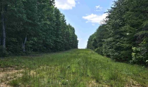 Photo #8 of 100 Ac JAMES ANDERSON HWY, GLADSTONE, VA 100.0 acres