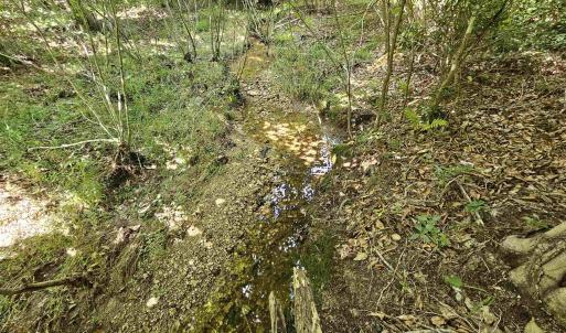 Photo #28 of 100 Ac JAMES ANDERSON HWY, GLADSTONE, VA 100.0 acres