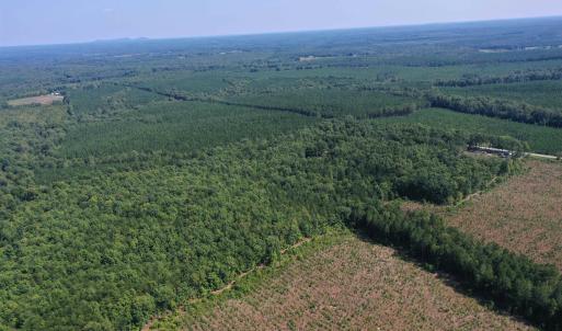 Photo #63 of 100 Ac JAMES ANDERSON HWY, GLADSTONE, VA 100.0 acres