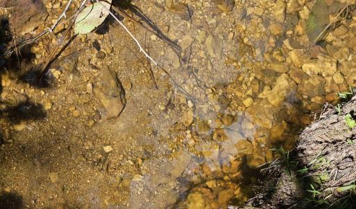 Photo #37 of 100 Ac JAMES ANDERSON HWY, GLADSTONE, VA 100.0 acres