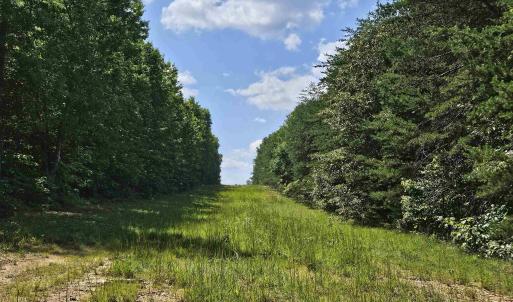 Photo #44 of 100 Ac JAMES ANDERSON HWY, GLADSTONE, VA 100.0 acres