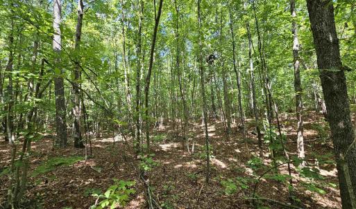 Photo #40 of 100 Ac JAMES ANDERSON HWY, GLADSTONE, VA 100.0 acres