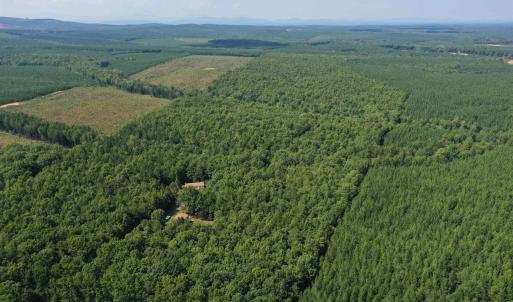 Photo #62 of 100 Ac JAMES ANDERSON HWY, GLADSTONE, VA 100.0 acres