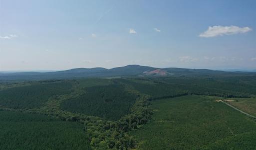 Photo #53 of 100 Ac JAMES ANDERSON HWY, GLADSTONE, VA 100.0 acres