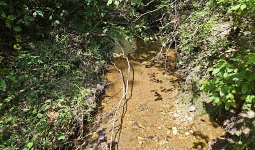 Photo #36 of 100 Ac JAMES ANDERSON HWY, GLADSTONE, VA 100.0 acres