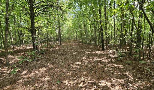 Photo #41 of 100 Ac JAMES ANDERSON HWY, GLADSTONE, VA 100.0 acres