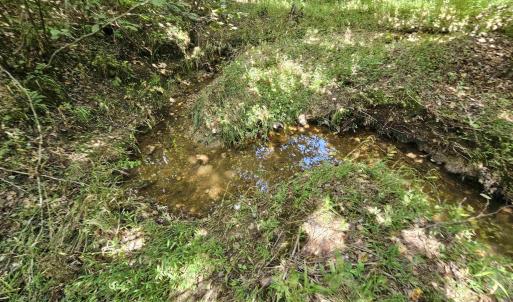 Photo #31 of 100 Ac JAMES ANDERSON HWY, GLADSTONE, VA 100.0 acres