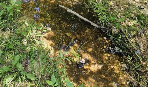 Photo #37 of 100 Ac JAMES ANDERSON HWY, GLADSTONE, VA 100.0 acres