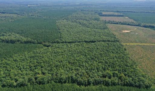 Photo #48 of 100 Ac JAMES ANDERSON HWY, GLADSTONE, VA 100.0 acres