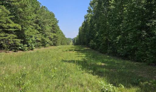 Photo #5 of 100 Ac JAMES ANDERSON HWY, GLADSTONE, VA 100.0 acres