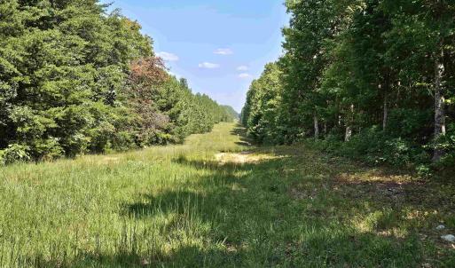 Photo #45 of 100 Ac JAMES ANDERSON HWY, GLADSTONE, VA 100.0 acres