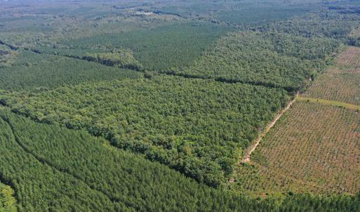 Photo #66 of 100 Ac JAMES ANDERSON HWY, GLADSTONE, VA 100.0 acres