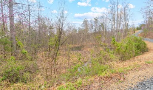 Photo #14 of HIDEAWAY RDG, STANARDSVILLE, VA 4.2 acres
