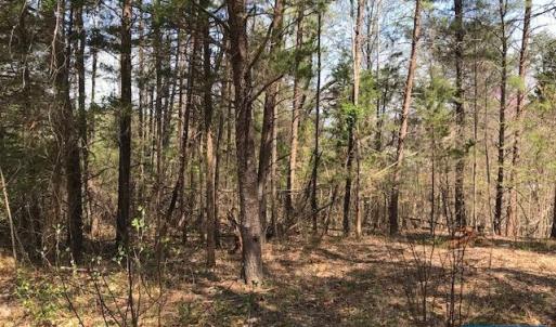 Photo #30 of HIDEAWAY RDG, STANARDSVILLE, VA 4.2 acres