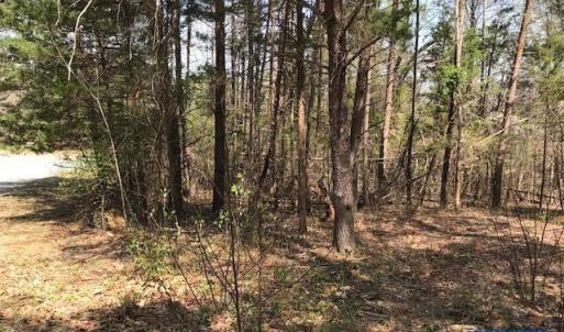 Photo #5 of HIDEAWAY RDG, STANARDSVILLE, VA 4.2 acres