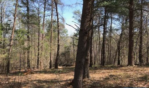 Photo #3 of HIDEAWAY RDG, STANARDSVILLE, VA 4.2 acres