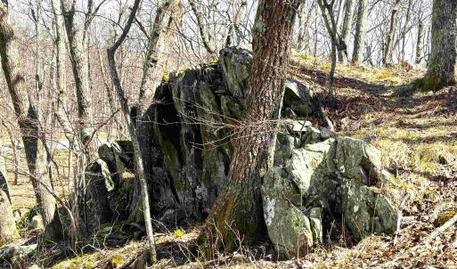 Photo #3 of 433 LAUREL SPRINGS DR, WINTERGREEN RESORT, VA 0.5 acres