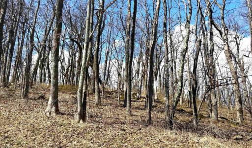 Photo #6 of 433 LAUREL SPRINGS DR, WINTERGREEN RESORT, VA 0.5 acres