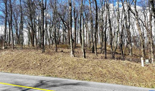 Photo #5 of 433 LAUREL SPRINGS DR, WINTERGREEN RESORT, VA 0.5 acres