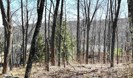 Photo #1 of 433 LAUREL SPRINGS DR, WINTERGREEN RESORT, VA 0.5 acres