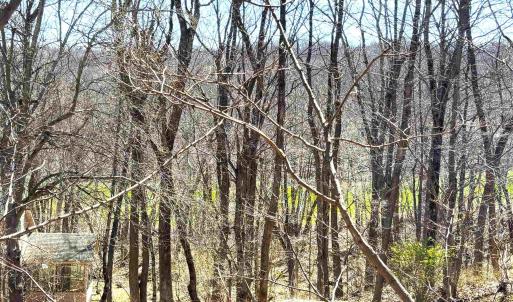 Photo #8 of 433 LAUREL SPRINGS DR, WINTERGREEN RESORT, VA 0.5 acres
