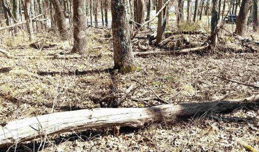 Photo #4 of 433 LAUREL SPRINGS DR, WINTERGREEN RESORT, VA 0.5 acres